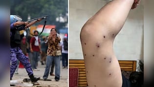 RAF Fired Pellets On Protesters On Orders Of Delhi Cop, Shows Police Document