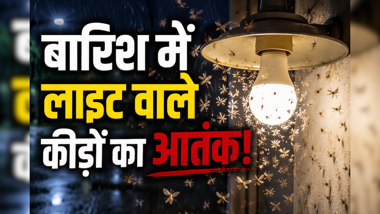 बारिश में कीड़ों को ऐसे भगाएं? ये रहा इन्हें भगाने का एक सीक्रेट फॉर्मूला
