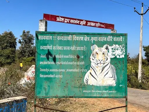 Tiger Poaching Case: सतना में टाइगर का शिकार Tiger Poaching Case: सतना में टाइगर का शिकार