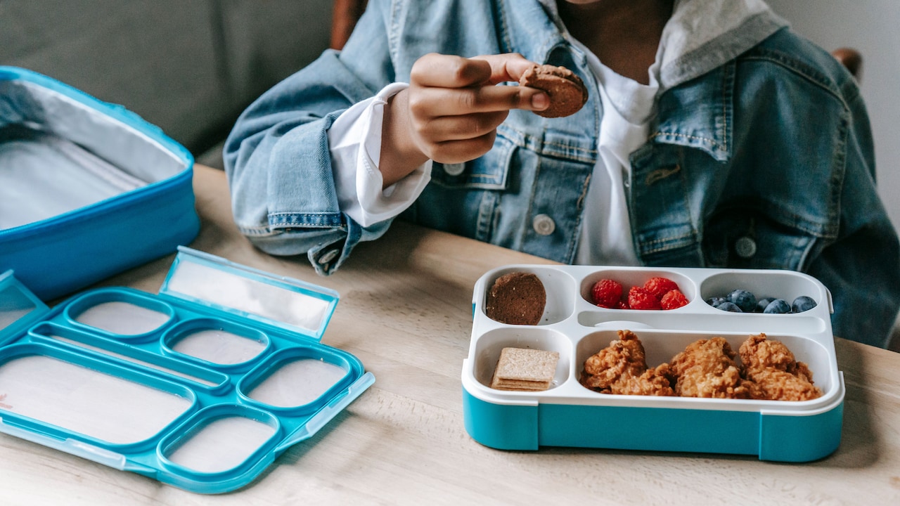 7 Electric Lunch Boxes For Office Desks And Long Commutes 7 Electric Lunch Boxes For Office Desks And Long Commutes
