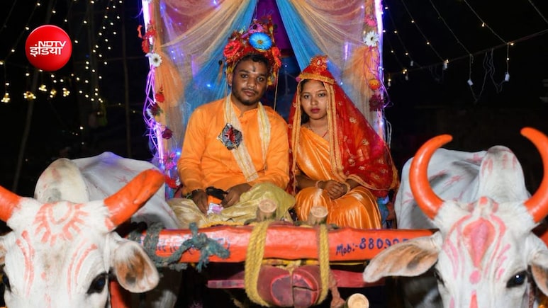 न दहेज, न लग्जरी कार... बैलगाड़ी से लेकर आया बारात; दूल्हे की सोच ने जीता लोगों का दिल