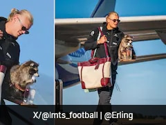 The Story Behind Erling Haaland Carrying Raccoon All The Way Home From FIFA World Cup 2026