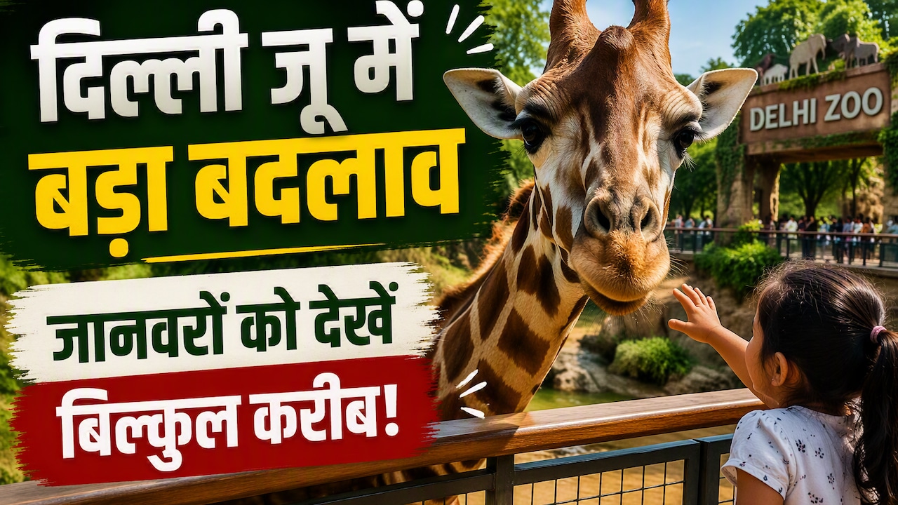 वीकेंड पर दिल्ली जू जाने का बनाइए प्लान, जल्द मिलेगा जानवरों को करीब से देखने का मौका