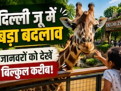 वीकेंड पर दिल्ली जू जाने का बनाइए प्लान, जल्द मिलेगा जानवरों को करीब से देखने का मौका