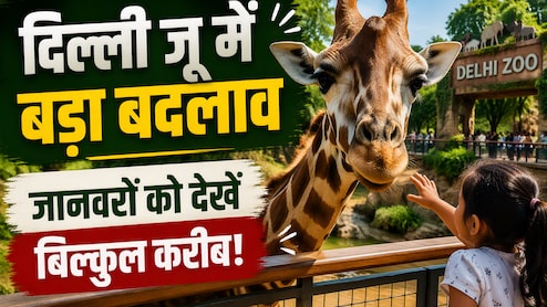 वीकेंड पर दिल्ली जू जाने का बनाइए प्लान, जल्द मिलेगा जानवरों को करीब से देखने का मौका