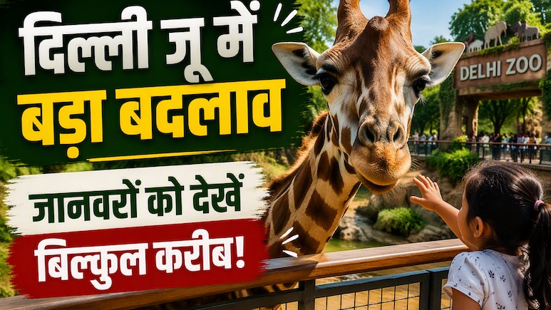 वीकेंड पर दिल्ली जू जाने का बनाइए प्लान, जल्द मिलेगा जानवरों को करीब से देखने का मौका