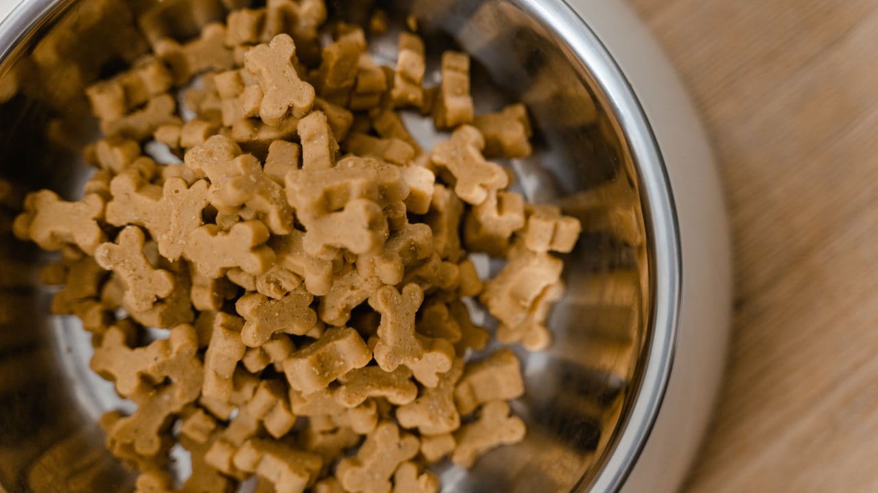 Amazon Prime Day is offering pet food and treats for under ₹199.