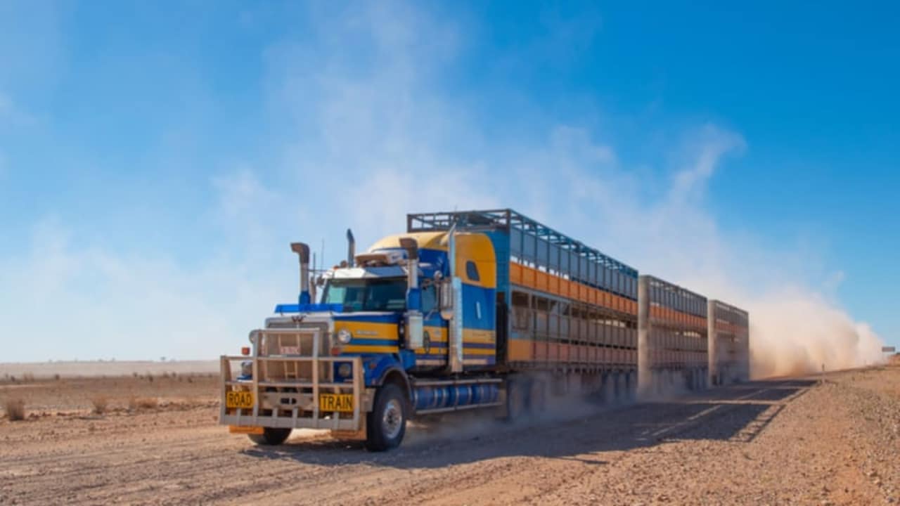 Indian-Origin Truck Drivers in Australia Report Widespread Racist Abuse