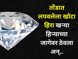 Crime: दोन भारतीयांनी चोरला सिंगापूरचा खास हिरा, मनी हाईस्टपेक्षाही भन्नाट आयडिया केली, किंमत वाचून सर्वच थक्क