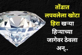 Crime: दोन भारतीयांनी चोरला सिंगापूरचा खास हिरा, मनी हाईस्टपेक्षाही भन्नाट आयडिया केली, किंमत वाचून सर्वच थक्क