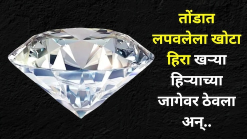 Crime: दोन भारतीयांनी चोरला सिंगापूरचा खास हिरा, मनी हाईस्टपेक्षाही भन्नाट आयडिया केली, किंमत वाचून सर्वच थक्क