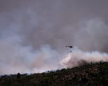 Wildfires Ravage France, Spain As Europe Faces One Of Its Worst Seasons