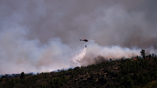 Wildfires Ravage France, Spain As Europe Faces One Of Its Worst Seasons