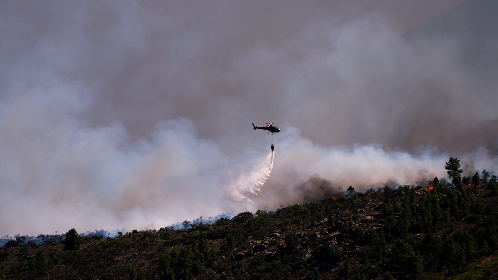 Wildfires Ravage France, Spain As Europe Faces One Of Its Worst Seasons