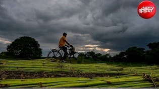 अल नीनो से 50 दिन तक कितना परेशान रहा मानसून, अगस्त-सितंबर में होगी बारिश या पड़ेगा सूखा