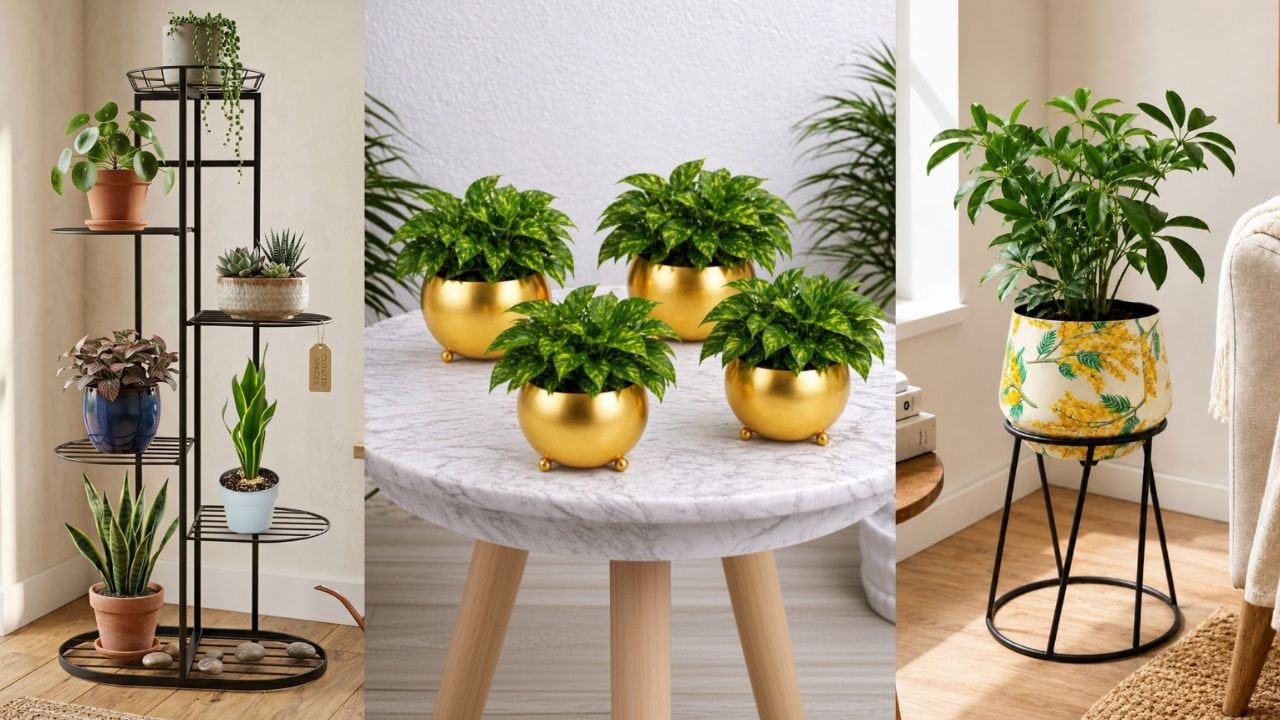छोटे स्पेस में भी लाएं हरियाली का खूबसूरत टच, Balcony से Window Sill तक के लिए चुनें ये अट्रैक्टिव Planters