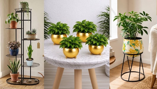 छोटे स्पेस में भी लाएं हरियाली का खूबसूरत टच, Balcony से Window Sill तक के लिए चुनें ये अट्रैक्टिव Planters