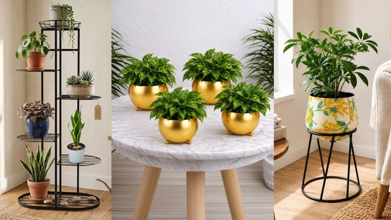 छोटे स्पेस में भी लाएं हरियाली का खूबसूरत टच, Balcony से Window Sill तक के लिए चुनें ये अट्रैक्टिव Planters