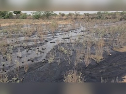 किसानों के खेतों में अचानक निकलने लगा क्रूड ऑयल, 3 किमी तक फैल गया कच्चा तेल