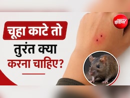 चूहे के काटने पर क्या रेबीज का इंजेक्शन लगवाना पड़ता है ? एक्सपर्ट से जानें कब होती है जरूरत