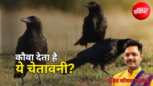 Shakun Apshakun: कौवे की ये हरकतें बदल सकती हैं आपकी किस्मत! जानिए क्या कहता है शकुन शास्त्र