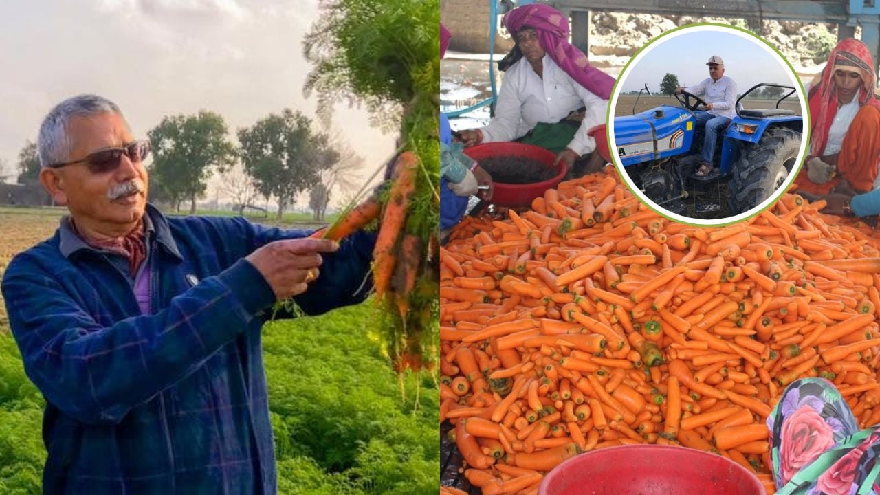 2 एकड़ से शुरू की खेती, आज 1500 एकड़ तक फैला कारोबार; रिटायर्ड कर्नल ने कॉन्ट्रैक्ट फार्मिंग से कैसे लिखी सफलता की कहानी