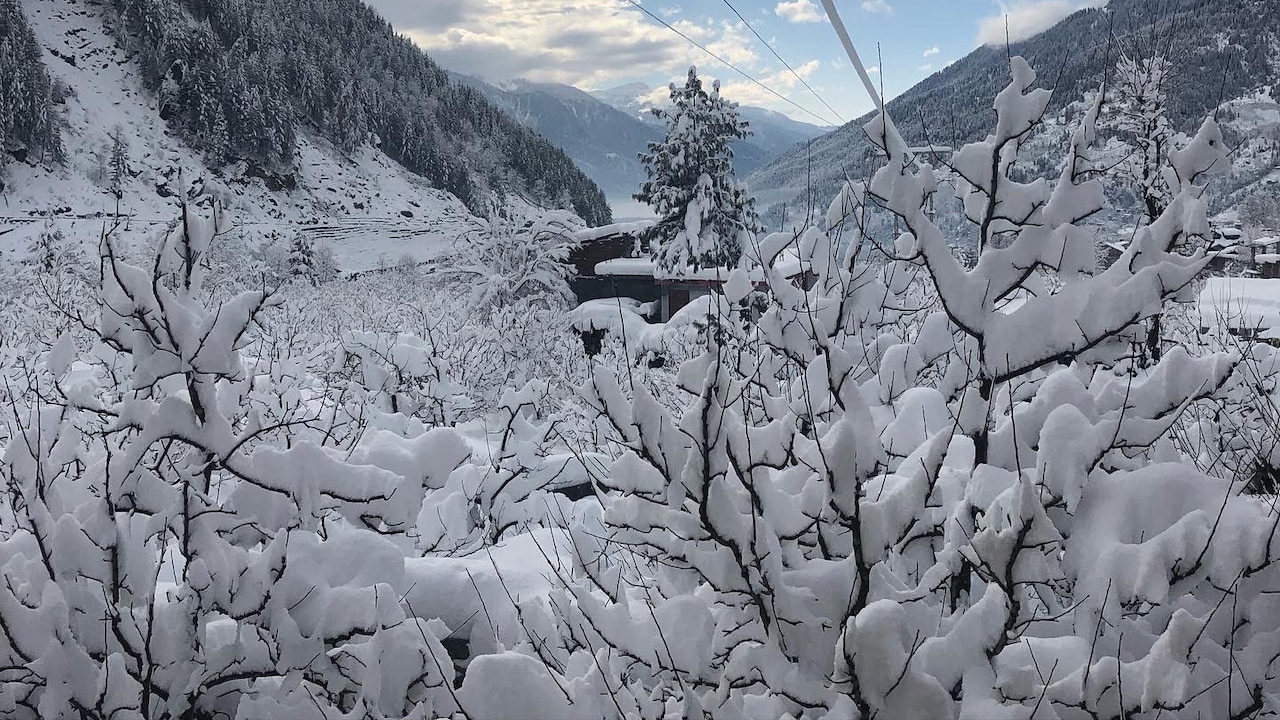 Lipika says winters in Himachal are the best. (Photo by arrangement) Lipika says winters in Himachal are the best. (Photo by arrangement)