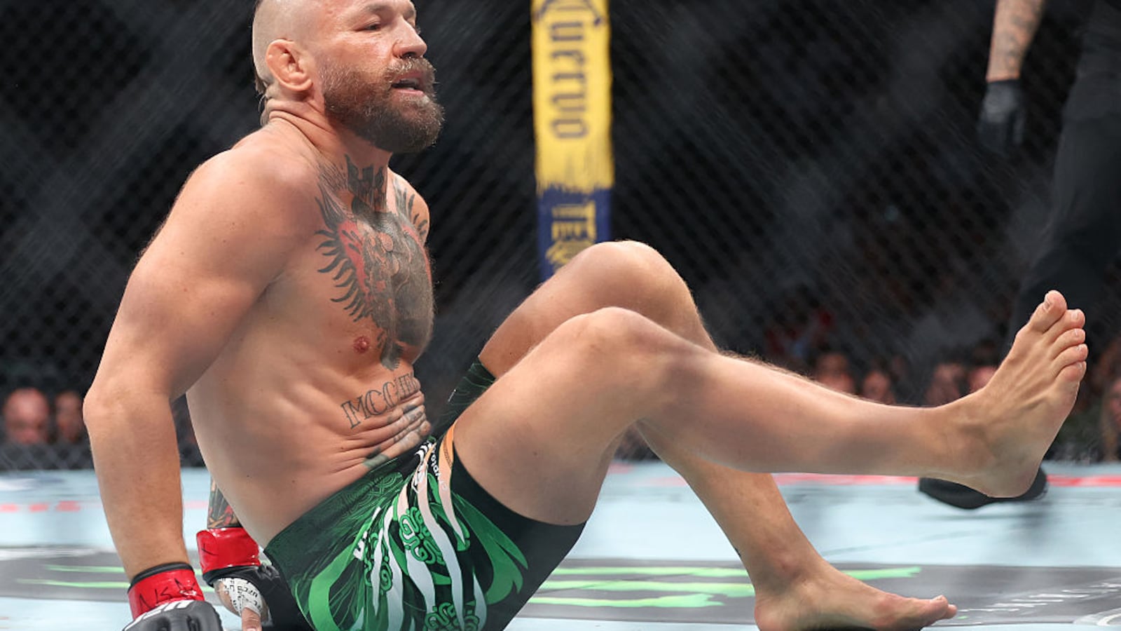 "Drilled Daily For Months": Conor McGregors Coach Shocked By UFC Icons Knee Injury