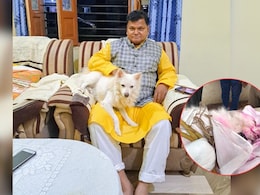 Heartbreaking Farewell In Madhya Pradesh As Loyal Pet Dog Dies During Owner's Funeral Procession