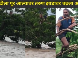 Jalgaon News: मासे पकडताना तरुणासोबत भयंकर घडलं, अंजनी नदीला पूर आल्यावर थेट झाडावरच चढला अन् नंतर..