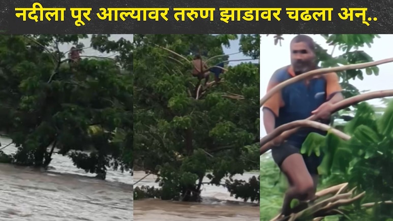 Jalgaon News: मासे पकडताना तरुणासोबत भयंकर घडलं, अंजनी नदीला पूर आल्यावर थेट झाडावरच चढला अन् नंतर..