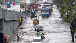 Mumbai Rains: Supriya Sule Demands WFH For IT Sector Amid Traffic Woes; Writes To Maharashtra Govt