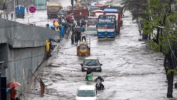Mumbai Rains: Supriya Sule Demands WFH For IT Sector Amid Traffic Woes; Writes To Maharashtra Govt
