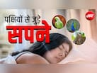 सपने में किस पक्षी के दिखने पर मिलता है अच्छे दिन आने का संकेत?