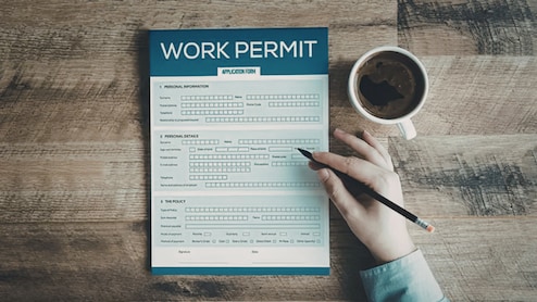 6 Countries Offering Easier Work Visas For Indians In 2026