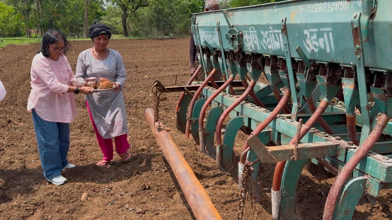kalibanga Sindh basmati: पूजा-पाठ के बाद पारंपरिक तरीके से की गई धान की बुआई. kalibanga Sindh basmati: पूजा-पाठ के बाद पारंपरिक तरीके से की गई धान की बुआई.