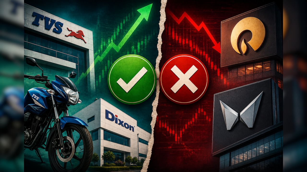TVS Motor, Dixon Tech In, Reliance, M&M Out: Which Stocks Made It Into Macquarie's New India Portfolio?