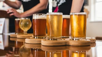 GM Breweries Q1 Results: Stock Rallies 6% As Net Profit Jumps 45% YoY &mdash; Check Key Numbers