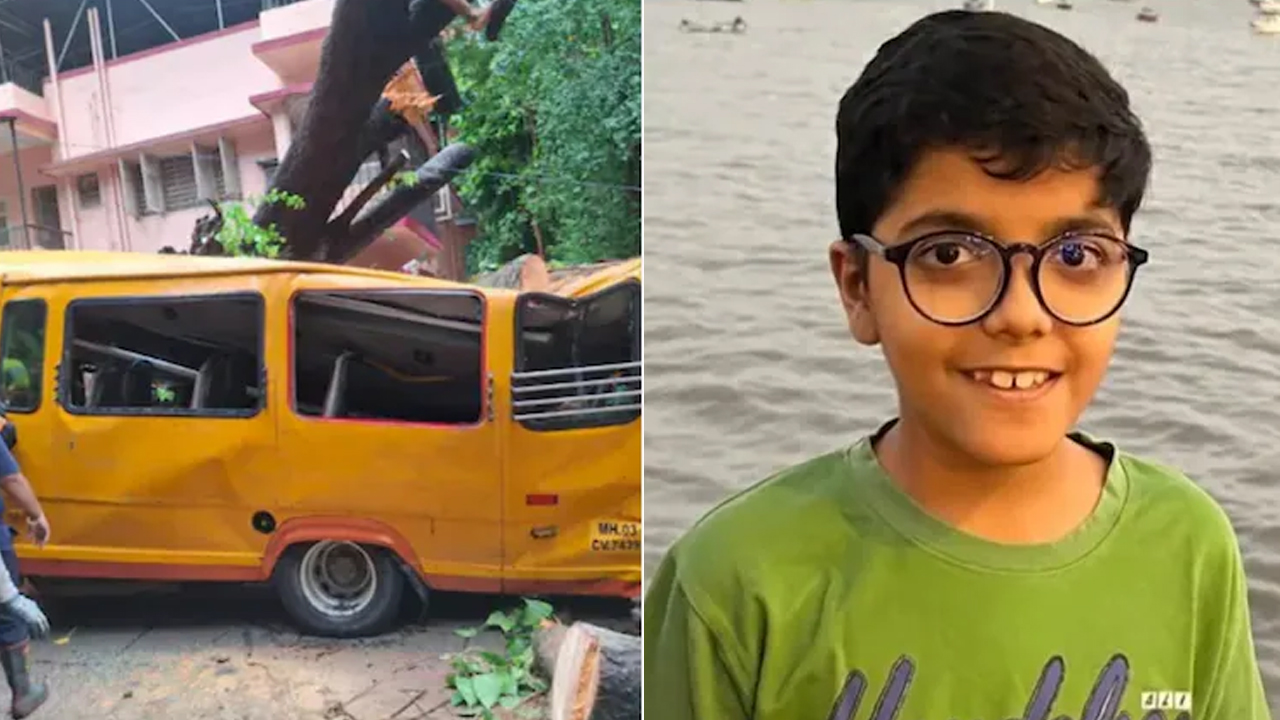 Mumbai Civic Body Rejects Official Report On Tree Collapse That Killed Boy, Orders New Probe