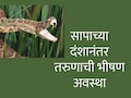 Snakebite News : सापाने तरुणाला अशा ठिकाणी केला दंश; रुग्णालयाचं बिल आलं 11 कोटी; 54 इंजेक्शनं दिलं तरीही...