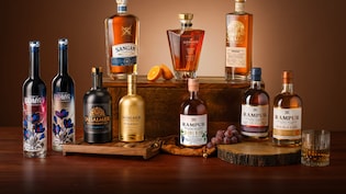 Magic Moments Vodka Maker Radico Khaitan To Lead Growth In Premium Portfolio, Says Jefferies; Sees Upto 11% Upside