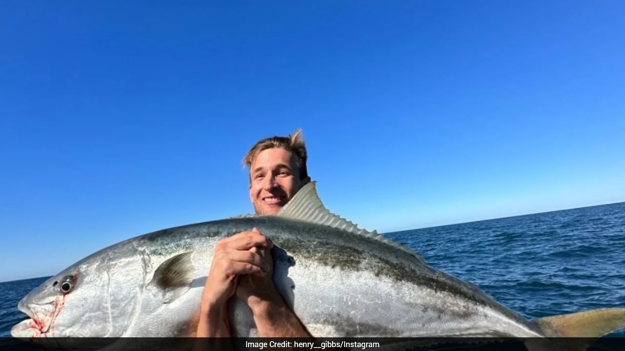 New Zealand Man Survives Shark Attack While Diving In Fiji, Undergoes Four Surgeries