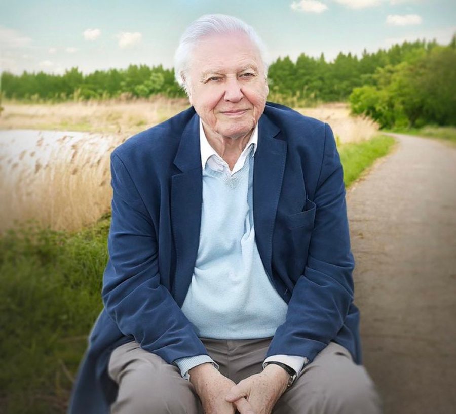 David Attenborough becomes oldest Primetime Emmy nominee at age 100