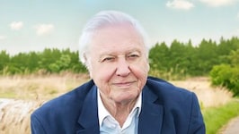 David Attenborough Makes Emmy History As The Oldest Nominee At 100