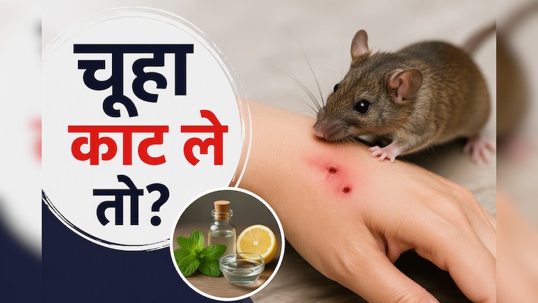 चूहा काट ले तो क्या करें? एक्सपर्ट ने बताया फर्स्ट ऐड और चूहों से छुटकारा पाने का तरीका