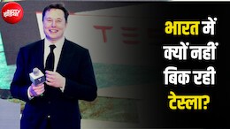 60-70 लाख की कार, लेकिन खरीदने वाला कोई नहीं... महीने में 50 गाड़ियां भी नहीं बेच पा रही एलन मस्क की टेस्ला