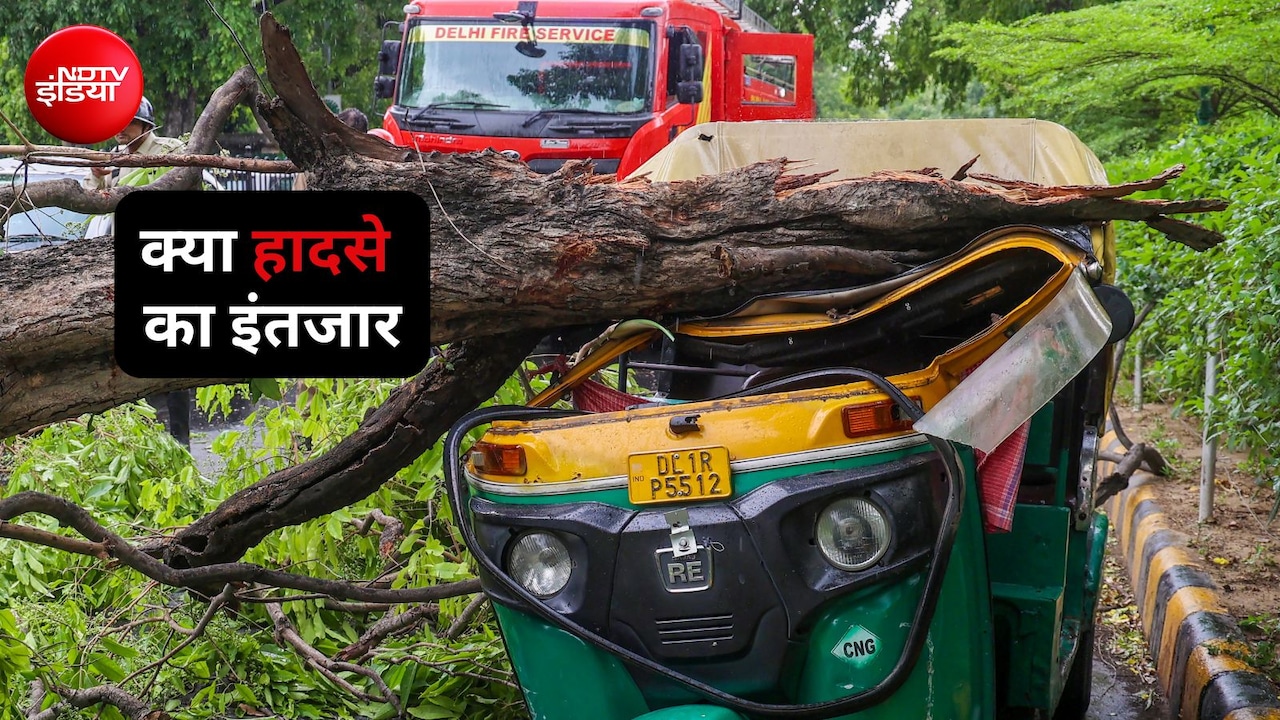 दिल्ली में ट्री सेंसस पर बड़ा खुलासा, 3 दशक की देरी के कारण नहीं पता किस पेड़ से कहां होगा हादसा
