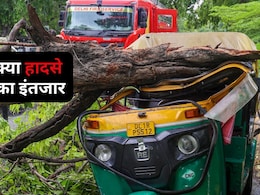 दिल्ली में ट्री सेंसस पर बड़ा खुलासा, 3 दशक की देरी के कारण नहीं पता किस पेड़ से कहां होगा हादसा