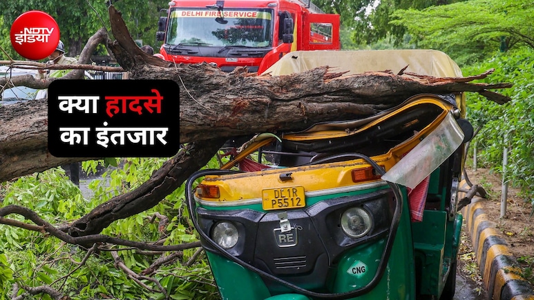दिल्ली में ट्री सेंसस पर बड़ा खुलासा, 3 दशक की देरी के कारण नहीं पता किस पेड़ से कहां होगा हादसा