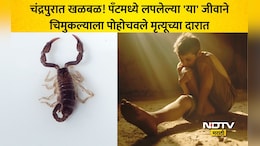 Chandrapur News: चंद्रपुरात खळबळ! खुंटीवरची पँट घातली अन् अंग थंड पडलं, 12 वर्षाच्या मुलाची 3 दिवस मृत्यूशी झुंज